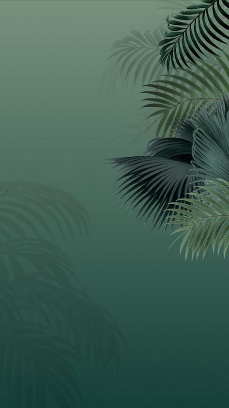 Green palm leaf mobile wallpaper, tropical border background | premium image by rawpixel.com / Adjima Natural Background For Editing, New Collections Poster, Iphone Minimal, Leaf Mobile, Wallpapers 2023, Green Nature Wallpaper, Wallpaper Leaf, Night Jar, Green Leaf Background