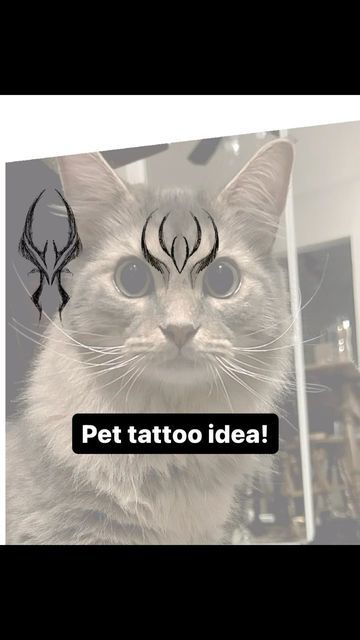 Manx Cat Tattoo, Cat Fur Pattern Tattoo, Maincoon Tattoo, Cat Forehead Tattoo, Tattoo For Pet Cat, Cat Markings Tattoo, Cat Head Pattern Tattoo, Tattoo Of Cat, Pet Remembrance Tattoo Cat