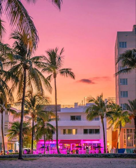 Pink Florida Aesthetic, Miami Core Aesthetic, 90s Miami Aesthetic, Miami Mood Board, Miami Astethic, Miami Scenery, Miami 80s Aesthetic, Miami Florida Aesthetic, 80s Miami