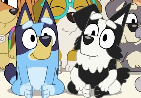 Mackenzie X Bluey, Bluey And Mackenzie, Bluey X Mackenzie, Bluey Icons, Bluey Stuff, Bingo Funny, Royal Poinciana, Animated Movies For Kids, First Sewing Projects