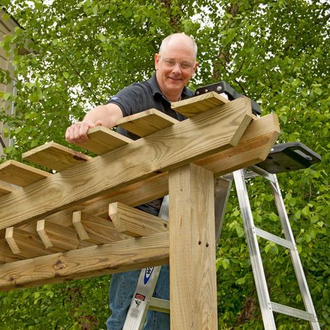 Garden Gate with Arbor and Fence Pergola Trellis, Diy Gate, Trellis Garden, Garden Gates And Fencing, Wood Arbor, Garden Gate Design, Small Pergola, Arbors Trellis, Pergola Swing