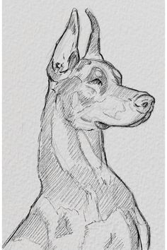 Art Dog Drawing, Dog Tutorial Drawing, Drawing Animals Ideas, Dog Drawing Sketches, Dog Art Drawing, Drawing A Dog, Dog Drawing Easy, Sketches Of Animals, How To Draw Dogs