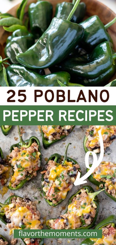 Ways To Use Poblano Peppers, Things To Make With Poblano Peppers, Grilled Pablano Pepper Recipe, Poblano Pepper Appetizer, Poblano Side Dish, Stuffed Pablo Peppers Vegetarian, Poblano Pepper Chili Recipes, Pablano Pepper Appetizer, Pablano Pepper Vegan Recipes