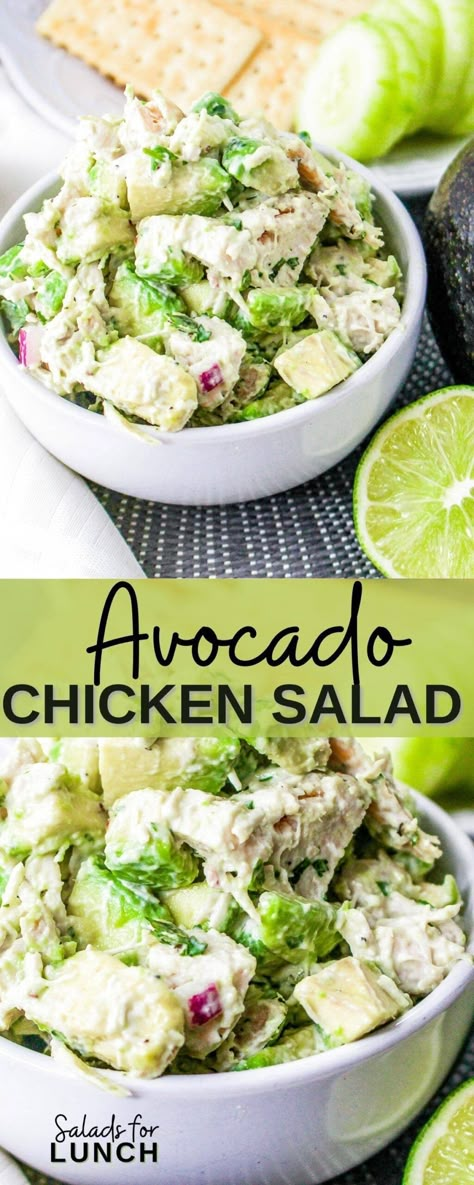 Creamy Avocado Chicken Salad, Chicken Salad Recipe With Avocado, Avocado And Chicken Salad, Chicken Avacacado Salad Recipes, Avacodo Chicken Salad, Chicken Avocado Burrito, Avocado Chicken Recipes, Green Salad With Chicken, Chicken Salad With Avocado