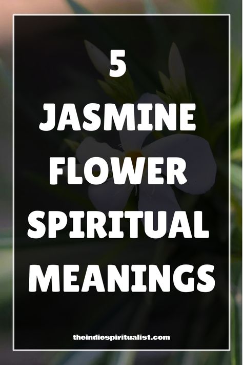 Plunge into the mystical realm of jasmine, exploring five spiritual meanings that unveil its profound connections to love, purity, and awakening. Jasmine Flower Spiritual Meaning, Jasmine Meaning, Plant Meanings, White Jasmine Flower, Jasmine Plant, White Jasmine, Divine Connections, Animal Symbolism, Flower Meanings