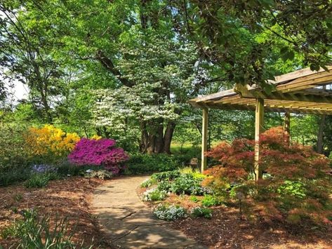 Botanical Garden of the Ozarks Is A Scenic Outdoor Spot In Arkansas That's A Nature Lover’s Dream Come True Arkansas Road Trip, Arkansas Travel, Fayetteville Arkansas, Butterfly House, The Ozarks, Garden Photos, Picnic Area, Botanical Garden, Science And Nature