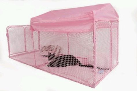 Pink catio Kitten Playpen, Playpen Ideas, Outdoor Pet Enclosure, Cat Playpen, Cat Crate, Cat Patio, Cat Run, New Kitten, Pet Enclosure