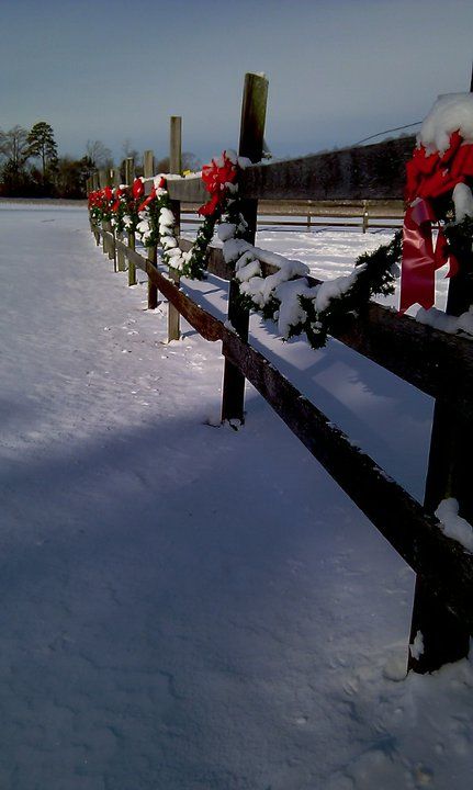 Horse Barn Christmas Decorations, Fence Christmas Decorating Ideas, Christmas Oklahoma, Farm Christmas Decorations, Farm Christmas Decor, Christmas On The Farm, Christmas Lounge, Winter Farm, Barn Christmas