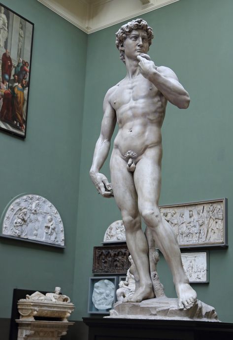 Michelangelo's David - plaster cast | A plaster cast of Mich… | Flickr Michelangelo Statue, Michelangelo David, David Michelangelo, Statue Of David, Michelangelo's David, Plaster Cast, Marble Statues, Victoria And Albert, Victoria And Albert Museum