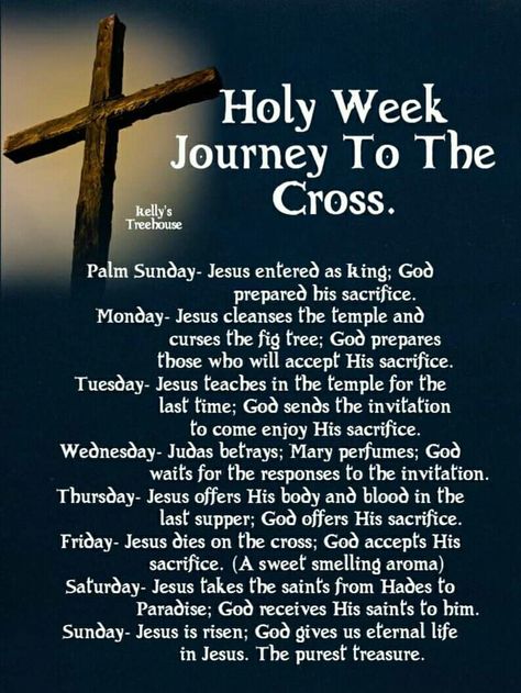 Holy Week Journey To The Cross Holy Week Quotes, Palm Sunday Quotes, Journey To The Cross, Jesus Cleanses The Temple, Kelly's Treehouse, Deep In The Woods, Week Quotes, German Quotes, Soli Deo Gloria