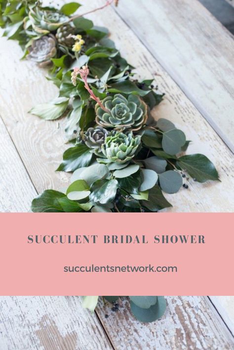 Succulent Bridal Shower Decorations, Bridal Shower Succulents, Forest Bridal Shower Theme, Bridal Shower Succulent Theme, Succulent Bridal Shower Theme, Succulent Themed Bridal Shower Ideas, Bridal Shower Plant Theme, Plant Bridal Shower Theme, Plant Themed Bridal Shower Ideas