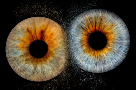 Entdecke die faszinierende Welt der Iris-Fotografie mit der Irisexplosion-Kollektion. Jedes Bild ist ein einzigartiges Kunstwerk, das die hypnotisierende Schönheit und Vielfalt der menschlichen Iris einfängt. Perfekt für alle, die die Geheimnisse ihrer Augen enthüllen und ein persönliches Kunstwerk besitzen möchten. Eye Art, Art