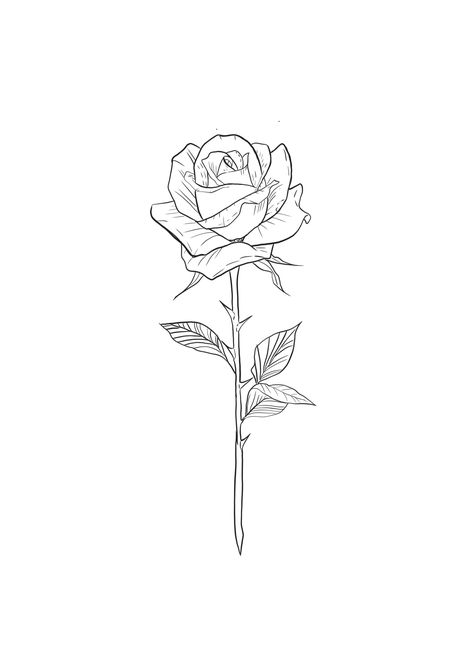 Fineline Rose Tattoo Design, Rose Tattoo Template, Halo Tattoo, Single Rose Tattoos, Minimal Tattoo Designs, Minimal Tattoo Ideas, Magic Runes, Ear Tattoo Ideas, Cool Tattoo Drawings