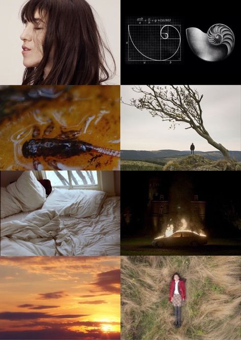 Joe Aesthetic Nymphomaniac Lars Von Trier Charlotte Gainsbourg Charlotte Gainsbourg Nymphomaniac, Lars Von Trier Cinematography, Nymphomaniac Lars Von Trier, Emo Culture, Lars Von Trier, Movie Pic, Charlotte Gainsbourg, Film Inspiration, Cinematic Photography