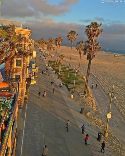 Belleville Paris, Venice Los Angeles, Venice Beach Boardwalk, Los Angeles Aesthetic, Venice Beach California, Venice California, Senior Trip, Sunny California, Beach Boardwalk