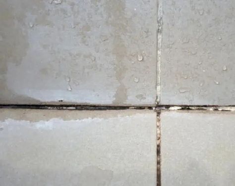 How To Regrout Tiles Without Removing Old Grout Regrouting Tile Kitchens, Regrouting Tile Bathroom, Paint Grout Lines, Removing Grout From Tile, Re Grouting Tile Showers, How To Re Grout Tile Floors, Grout Over Old Grout, How To Apply Grout To Tile, Regrout Shower Tile