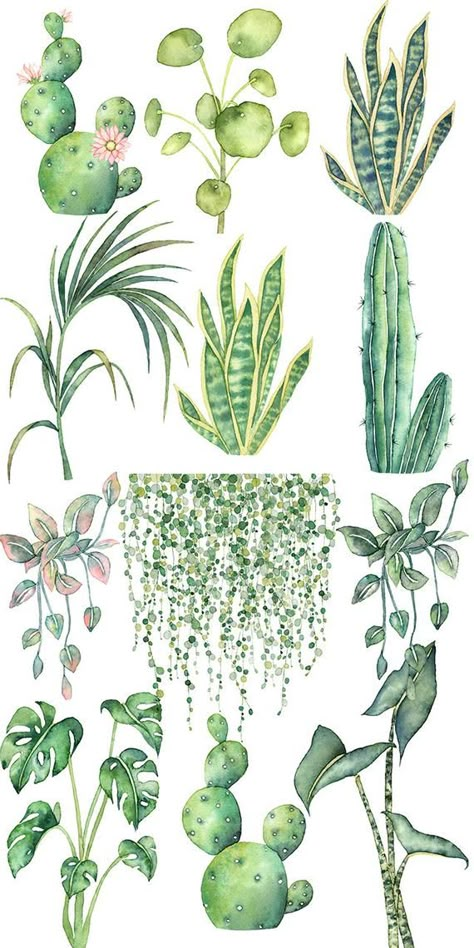 Boho Plants, Cactus Clipart, Watercolor Boho, Illustration Botanique, Watercolor Cactus, Watercolor Plants, Plant Painting, Monstera Plant, Plant Drawing