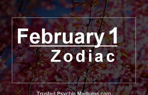 February 1 Zodiac Feb Zodiac Sign, What Are Zodiac Signs, Aquarius Pisces Cusp, Gemini Zodiac Tattoos, February Zodiac, Birthday Personality, Birthday Horoscope, Free Daily Horoscopes, Personality Profile