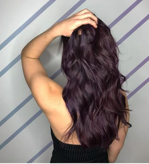 Dark Purple Brunette Hair, Beautiful Dark Hair Color, Dark Purple Hair No Bleach, Single Process Brown Hair, Cool Amethyst Hair Color, Dyed Burgundy Hair, Purple Brunette Hair, Purple Hair Color Ideas For Brunettes, Dark Brown Purple Hair