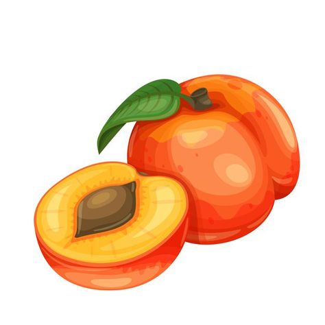 Peach Fruit Drawing, Fruits Animation, Fruit Animation, Peach Images, Peach Vector, Peach Cartoon, Drawing Fruits, Cartoon Peach, Peach Drawing