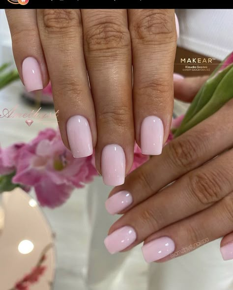 Short Pink Nails, Gel Toe Nails, Squoval Nails, Pink Gel Nails, Sassy Nails, More Clients, Pink Acrylic Nails, Neutral Nails, Fire Nails