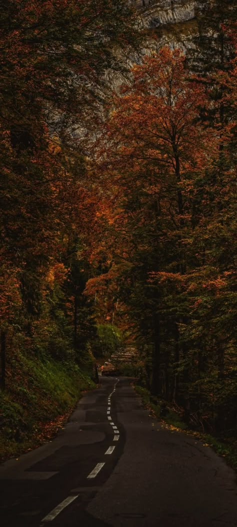 Fall Road Backgrounds, Autumn Woods Wallpaper, Fall Estetic Wallpaper, Fall Cozy Wallpaper Iphone, Moody Fall Lock Screen, Moody Fall Wallpaper Iphone, Fall Dark Aesthetic Wallpaper, Moody Autumn Wallpaper, Autum Aestethic Wallpaper