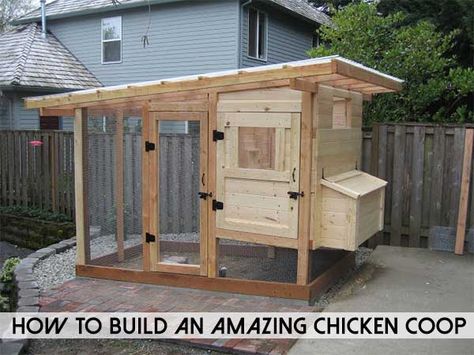 How To Build An Amazing Chicken Coop  #diy #homesteading #chickens Reban Ayam, Easy Chicken Coop, Portable Chicken Coop, Amazing Chicken, Chicken Coup, Diy Chicken Coop Plans, Coop Design, Best Chicken Coop, Coops Diy