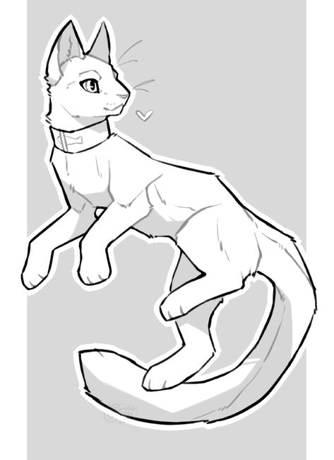 Warrior Cat Poses Drawing Reference, Cat Bases F2u, Cat Body Base, Cat Oc Base, Cat Fursona Base, Warrior Cats Drawing Base, Cat Base Drawing, Cat Drawing Base, Warrior Cats Oc Base