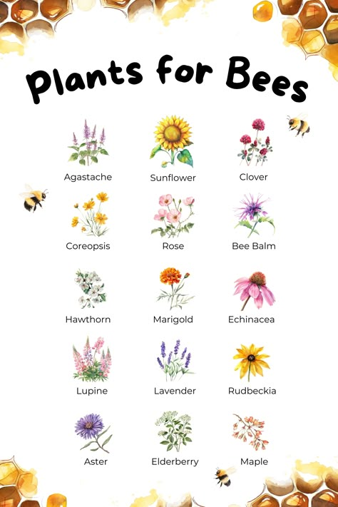 Poster of plants that support bees Best Flowers For Honey Bees, Pollinator Friendly Yard, Bee Pollinator Garden, Best Garden Plants For Beginners, Insect Friendly Garden, Flowers That Bees Like, How To Attract Bees To Your Garden, Bee Garden Ideas, Butterfly And Bee Garden