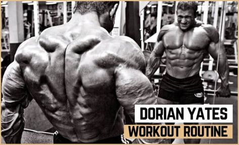 Dorian Yates Workout Routine, Dorian Yates Bodybuilding, Dorian Yates Training, Dorian Yates Workout, Split Routine, Full Body Routine, Mike Mentzer, Lean Workout, Lee Haney