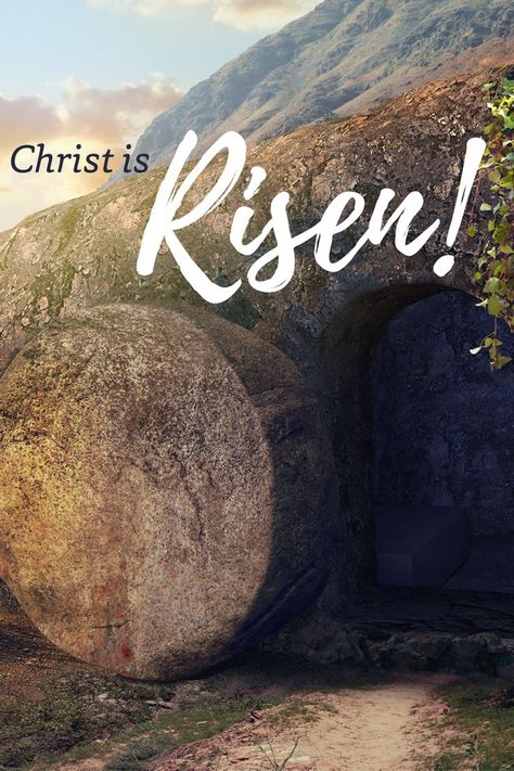 He Has Risen Easter, Risen Just As He Said, He Is Risen Indeed, 2023 Quotes, Jesus Is Risen, Resurrection Day, Bible Verse Background, Resurrection Sunday, He Has Risen