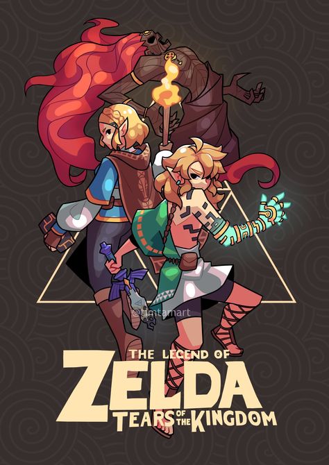 Link Ganondorf, Zelda Drawing, Zelda Funny, Tim Tam, Tears Of The Kingdom, Hyrule Warriors, Link Zelda, Nintendo Art, Zelda Art