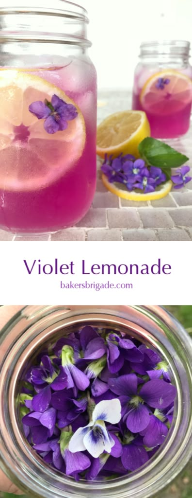 Violet Lemonade, Edible Flowers Recipes, Foraging Recipes, Herbal Recipes, Lemonade Recipes, Wild Edibles, Flower Food, Edible Flowers, Tea Recipes