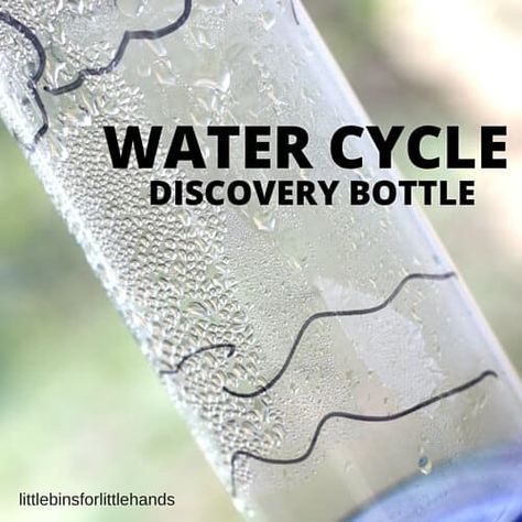 Explore the water cycle for kids with this easy water cycle in a bottle activity. A simple way to introduce evaporation, condensation. Preschool Water Cycle, Science Experiments Preschool, Experiments Preschool, Water Cycle For Kids, Tornado In A Bottle, Water Cycle Activities, Weather Activities For Kids, Cycle For Kids, Earth Science Activities