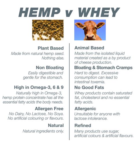 Hemp Protein vs. Whey Protein | Comparison - GOOD Hemp Nutrition Protein Powder Benefits, Best Fiber Supplement, Whey Protein Recipes, Hemp Protein Powder, Hemp Protein, Fiber Supplements, Reduce Cholesterol, Hemp Seeds, Whey Protein