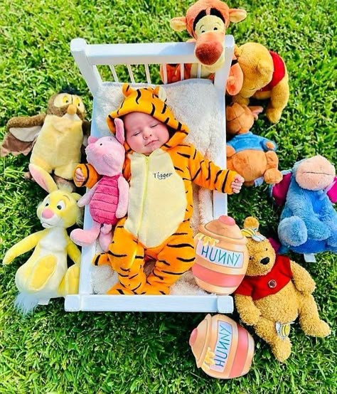 Winnie The Pooh Monthly Pictures, Winnie The Pooh Baby Pictures, Disney Monthly Baby Pictures, Winnie The Pooh Baby Photo Shoot, Winnie The Pooh Newborn Pictures, Winnie The Pooh Maternity Photo Shoot, Winnie De Pooh Baby Shower Ideas, Winnie The Pooh Photo Shoot, Baby Theme Photoshoot