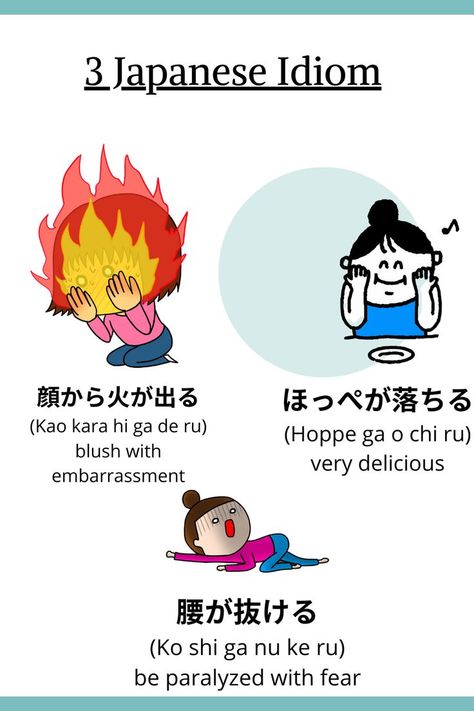 #Japan #Japanese #learnjapanese #learningjapanese #studyjapanese #japanesegrammar #japanesevocb

Hello everyone.
I’ m Aki from Ohanasi Kagawa.

Today I would like to share with you three very cool Japanese idioms with example sentences.

Have you ever learned about Japanese idioms?
If you can use these idioms in conversation, you will be able to have more humorous conversations and express your feelings more easily!

Let’s take a look at them one by one! Compliments In Japanese, Conversational Japanese, Japanese Idioms, Japanese Words And Meanings, Japanese Question Words, Japanese Conversation, Japanese Common Phrases, Learn Japan, Common Idioms