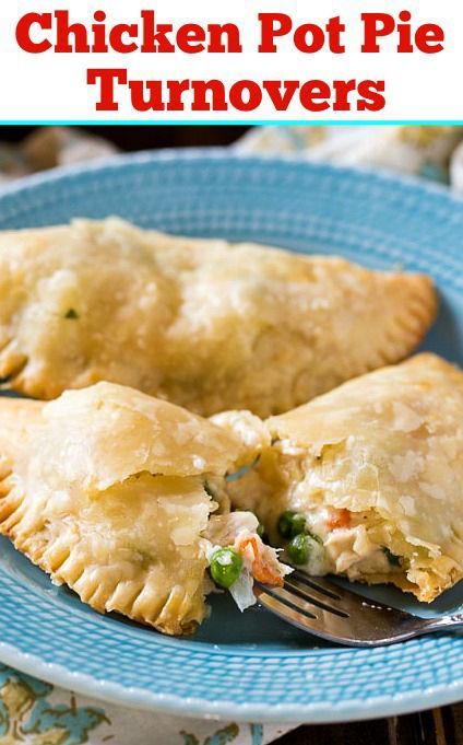 Pie Turnovers, Easy Empanadas Recipe, Spicy Southern Kitchen, Hand Pies Savory, Hand Pie Recipes, Fried Pies, Southern Kitchen, Chicken Pie, Pot Pies Recipes