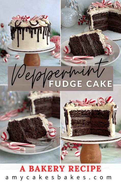 This peppermint chocolate cake combines layers of super moist and rich chocolate cake with fudgy chocolate peppermint ganache and creamy peppermint buttercream. At Amycakes Bakery, Peppermint Fudge Cake was the most popular seasonal cake flavor--the perfect holiday cake! White Chocolate Peppermint Frosting, Peppermint Ganache Recipe, Peppermint Fudge Cake, York Peppermint Patty Cake, Popular Cakes 2023, Christmas Cakes Chocolate, Chocolate Peppermint Cake Recipe, Chocolate Cake With Peppermint Frosting, Dark Chocolate Peppermint Cake