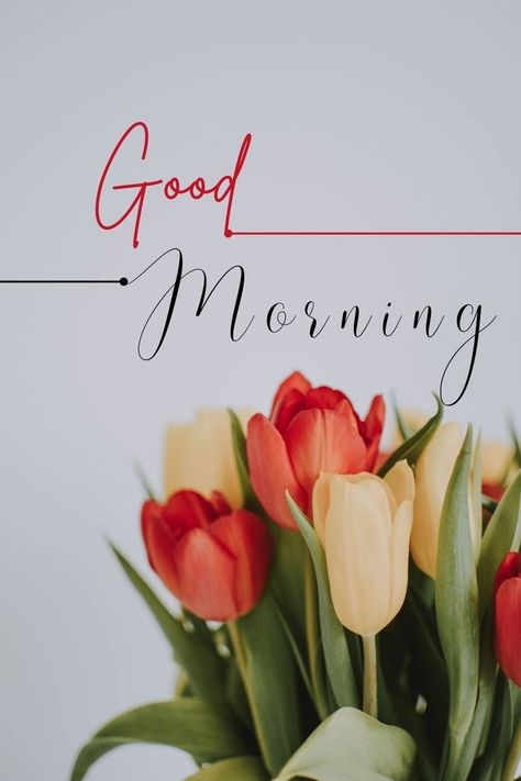 Sweet Good Morning Images, Good Morning Posters, Latest Good Morning Images, Lovely Good Morning Images, Love Good Morning Quotes, Good Day Messages, Latest Good Morning, Good Morning Greeting Cards, Good Morning Coffee Images