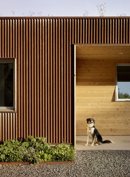 #TurnbullGriffinHaesloop #exterior #corten  Photo 14 of Cloverdale Residence modern home Corrugated Metal Wall, Corrugated Metal Siding, Austin House, Steel Architecture, Corrugated Metal Roof, Corrugated Roofing, Living Roofs, Metal Siding, Austin Homes