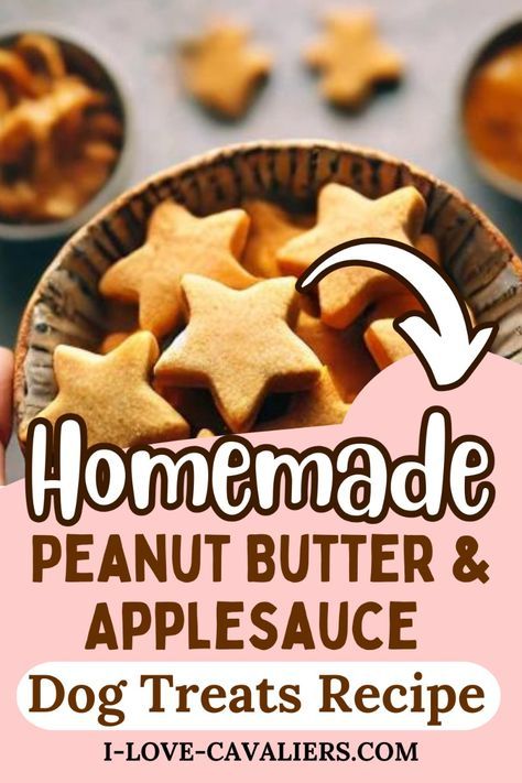 Applesauce And Peanut Butter Dog Treats, Dog Apple Treats, Apple Dog Treats Homemade Easy, Applesauce Dog Treats Homemade, Applesauce Dog Treats, Peanut Butter Dog Treats Homemade, Homade Dog Treats, Greek Yogurt And Peanut Butter, Dog Treat Business