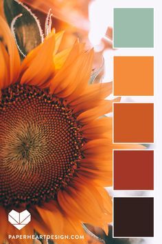 Color inspiration, fall, autumn, flower colors, color scheme. #sunflower #colorpalette #fall #autumn #inspiration Fall Wedding Color Schemes Sunflowers, Sunflower Kitchen Color Scheme, Boho Orange Color Palette, Bumblebee Color Palette, Fall Color Inspiration, Sunflower Color Scheme, Vibrant Color Schemes Colour Palettes, Nature Inspired Color Schemes, Color Palette Sunflower