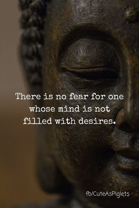 Buddha Thoughts, Typed Quotes, Buddhist Symbols, Strong Mind Quotes, Deep Questions, Buddha Teachings, Buddha Quotes, Motivational Messages, No Fear