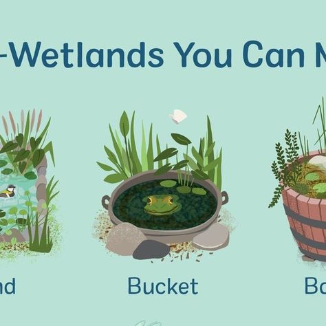 Wetlands Activities, World Wetlands Day, Animal Illustration, Kids Art Projects, How To Find Out, Art Projects, Canning, Animals, Instagram