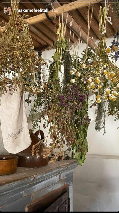 Herbs In Kitchen, Hanging Herbs, Cottage Aesthetic, In Kitchen, Vintage Aesthetic, Cottage Style, Malta, Ladder Decor, Vision Board