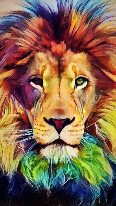 Lion art quarto Iphone Art, Canvas For Beginners, Lion Wallpaper, Lion Painting, Prophetic Art, Lion Art, Lion Of Judah, Lion Tattoo, Arte Animal