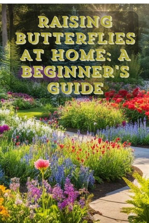 🔹 What You’ll Discover:

Step-by-Step Instructions: Easy-to-follow guide for beginners
Butterfly Care Tips: How to create the perfect habitat How To Raise A Caterpillar, Diy Butterfly Garden, Different Kinds Of Butterflies, Monarch Butterfly Habitat, Raising Monarch Butterflies, Grow Butterflies, Raising Butterflies, Butterfly Sanctuary, Butterfly Facts