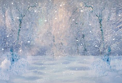 Kate Winter Snow Forest Dusk Backdrop for Photography Onederland Invitations, Winter Wonderland Background, Winter Wonderland Party Theme, Cloth Backdrop, Background Winter, Winter Backdrops, Winter Wonderland Theme, Snow Ball, Snow Forest