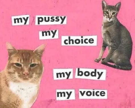 Riot Grrrl, Amy Poehler, Feminist Art, Body Positivity, Wall Collage, Valentines Cards, The Wall, Einstein, Illustrations